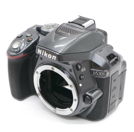 Фотоаппарат Nikon D5300 Body, серый